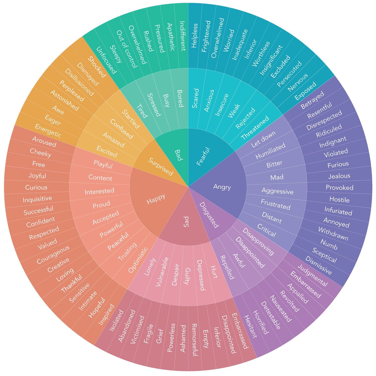 Image of feelings wheel